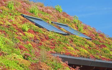 Cirencester living roof systems